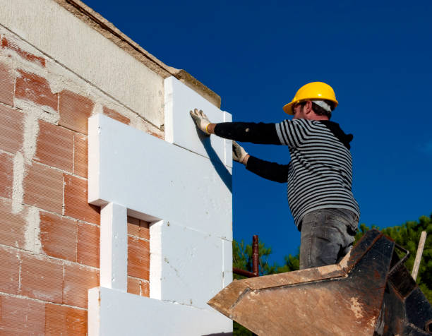 Best Insulation for Commercial Buildings  in Necedah, WI