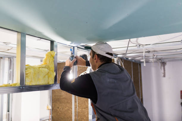 Best Affordable Insulation Services  in Necedah, WI