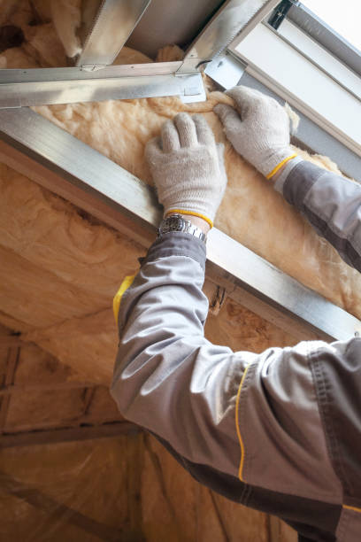 Best Cellulose Insulation  in Necedah, WI