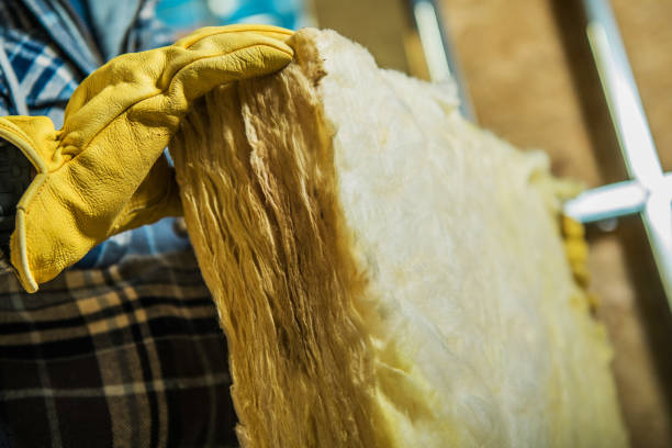 Best Insulation Removal  in Necedah, WI