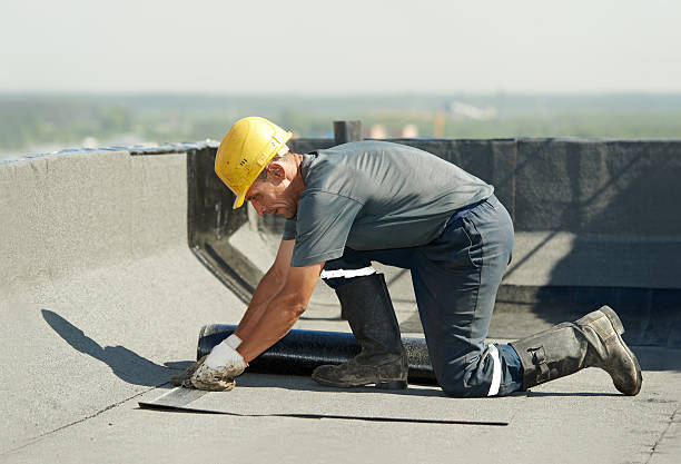 Best Attic Insulation Installation  in Necedah, WI