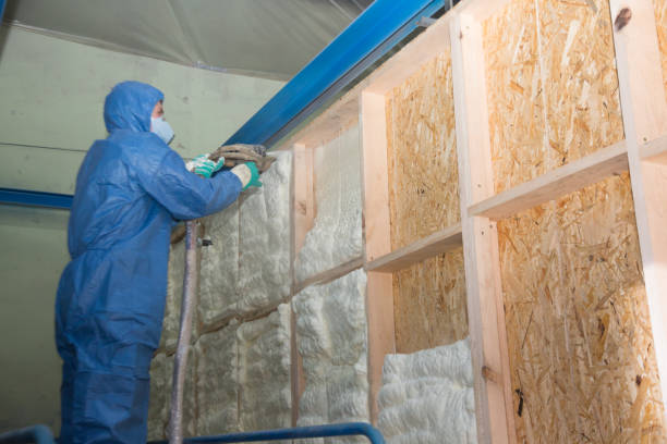 Best Insulation for New Construction  in Necedah, WI