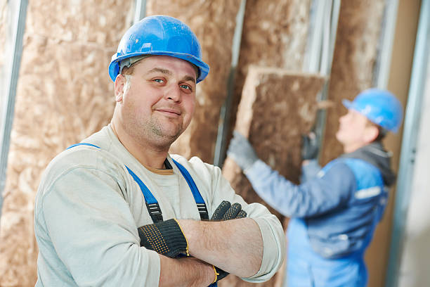 Best Fiberglass Insulation  in Necedah, WI