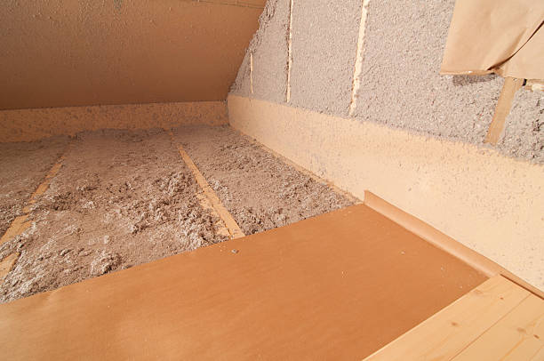 Best Crawl Space Insulation  in Necedah, WI