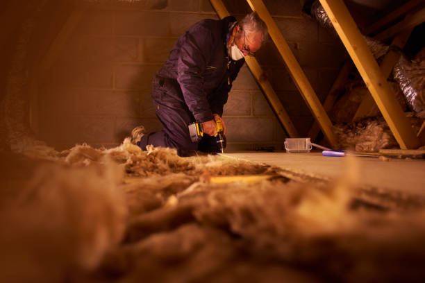 Best Insulation Inspection Services  in Necedah, WI