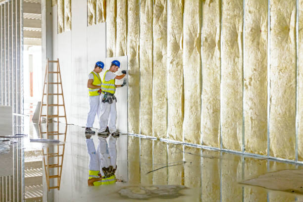 Insulation Replacement Services in Necedah, WI